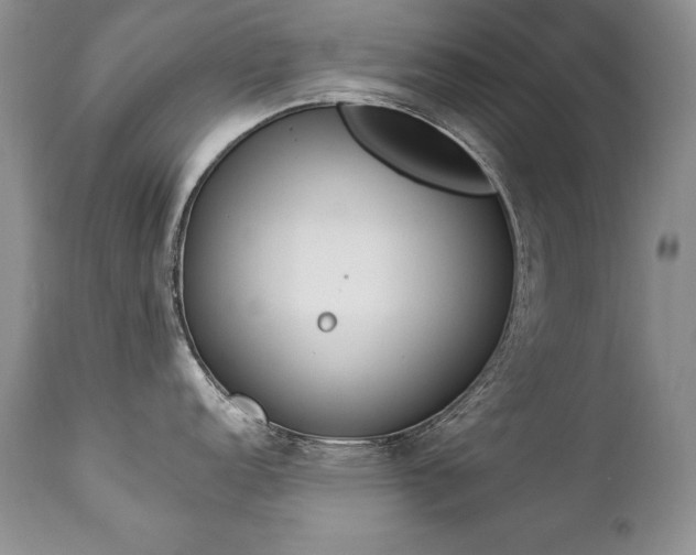 X0000112841152200908211235