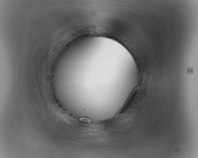 X0000112841153200908211234