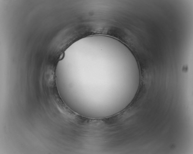 X0000112841154200908211234