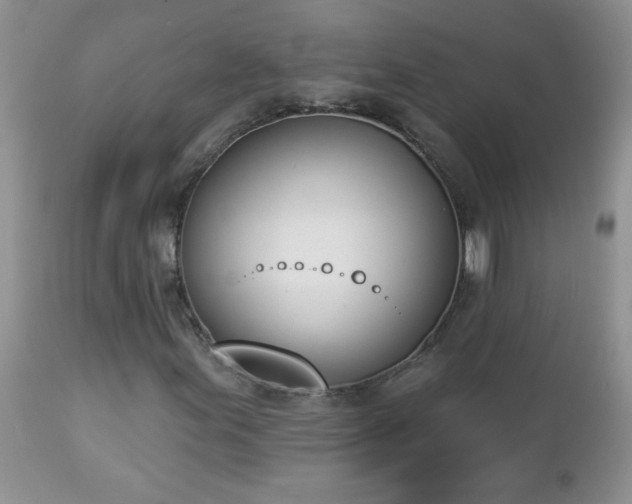 X0000112841155200908211234