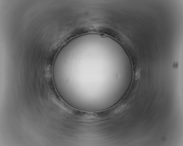 X0000112841156200908211234