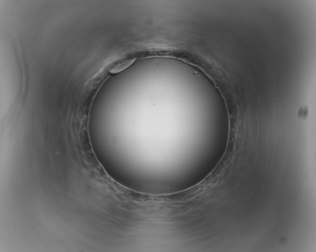 X0000112841157200908211234