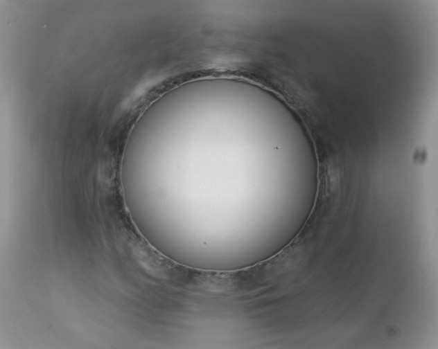 X0000112841158200908211234