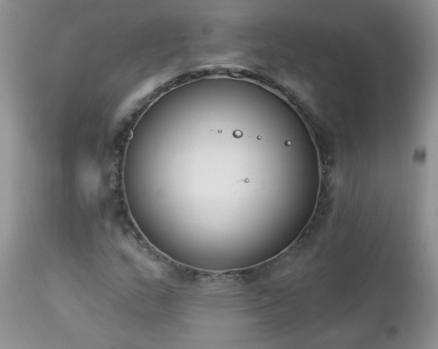 X0000112841159200908211234