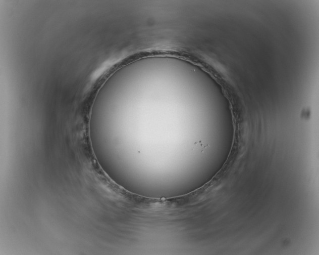 X0000112841160200908211234