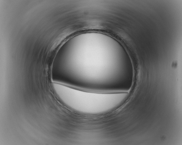 X0000112841161200908211234