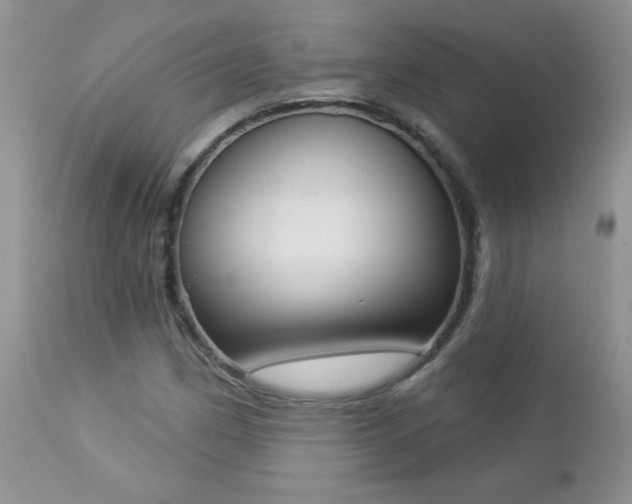 X0000112841162200908211234