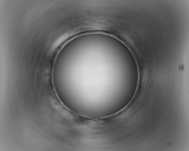 X0000112841163200908211234