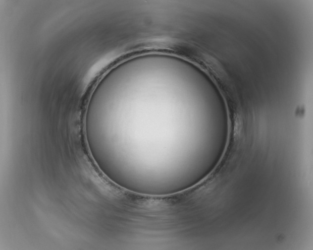 X0000112841164200908211234