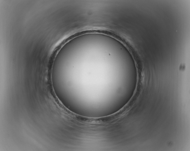 X0000112841165200908211234