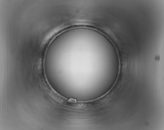 X0000112841167200908211234