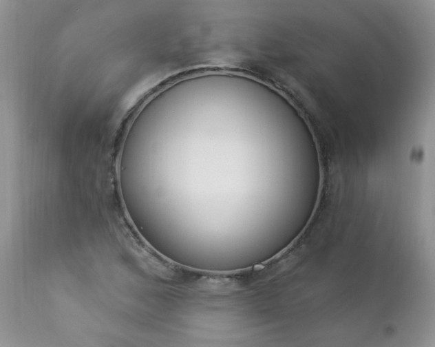 X0000112841168200908211234