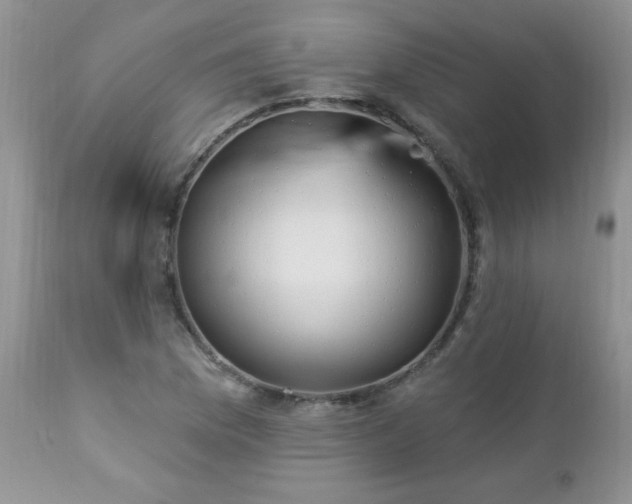 X0000112841169200908211234