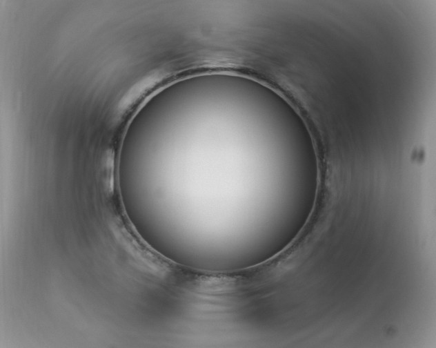 X0000112841171200908211234