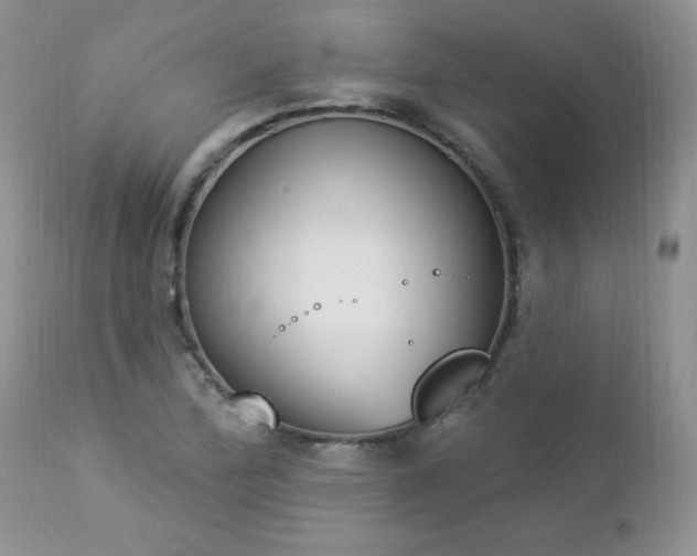 X0000112841172200908211234