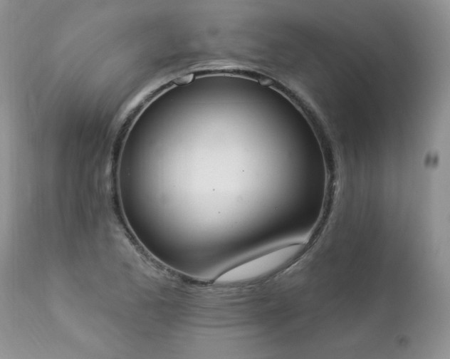 X0000112841173200908211234