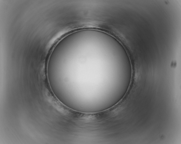 X0000112841174200908211234