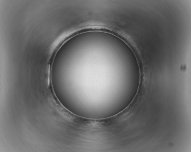 X0000112841175200908211234