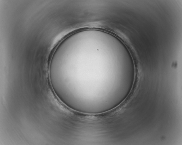 X0000112841176200908211234