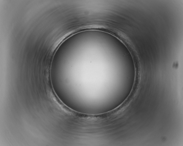 X0000112841177200908211234