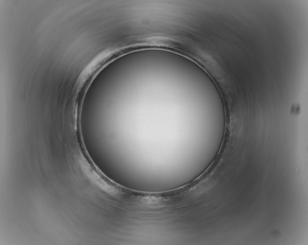 X0000112841180200908211234