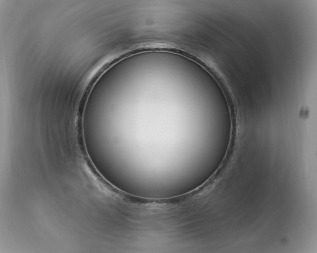 X0000112841181200908211234