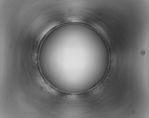 X0000112841182200908211234