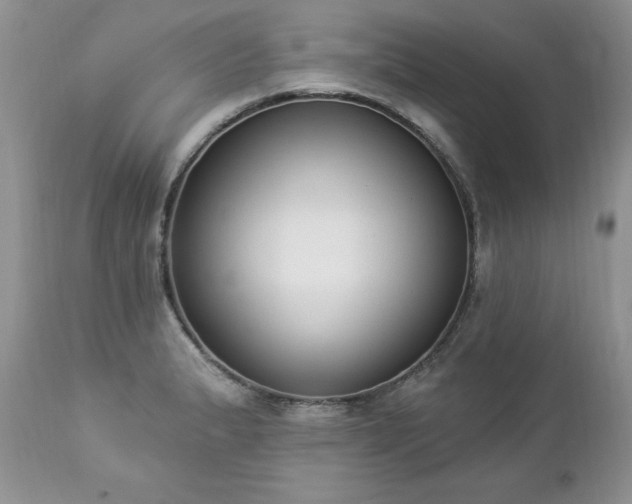 X0000112841183200908211234