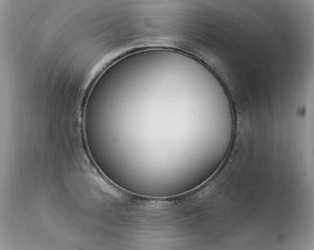 X0000112841184200908211233