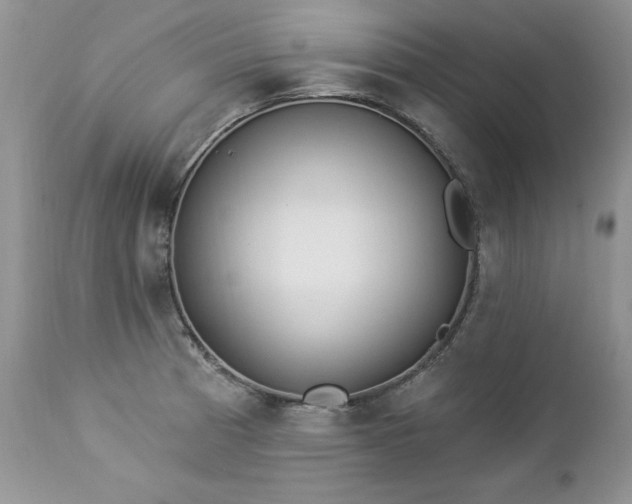 X0000112841185200908211233