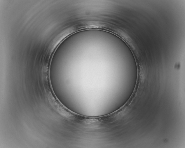 X0000112841186200908211233