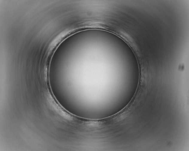 X0000112841188200908211233