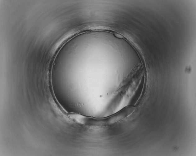 X0000112841189200908211233