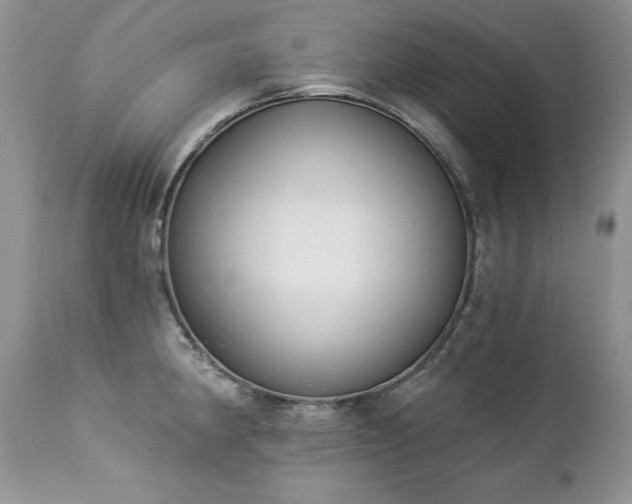 X0000112841190200908211233