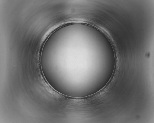 X0000112841192200908211233