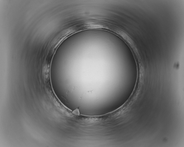 X0000112841193200908211233