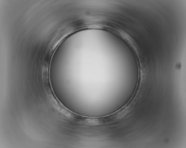 X0000112841194200908211233