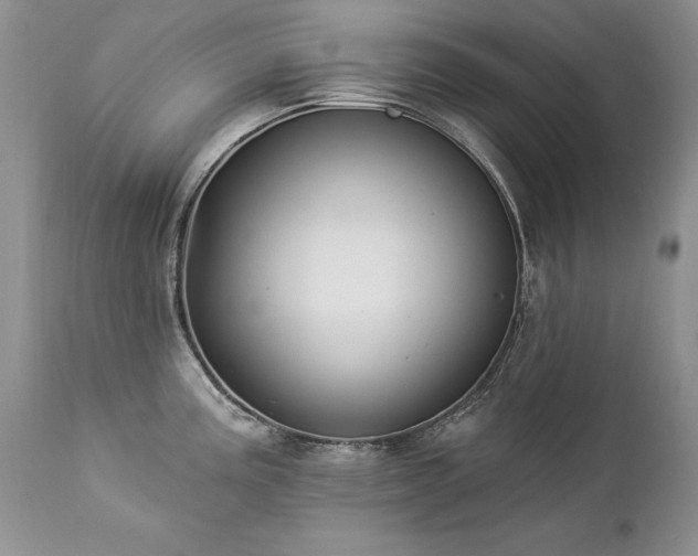 X0000112841195200908211233