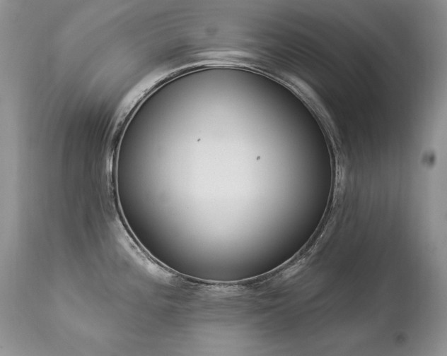 X0000112841196200908211233