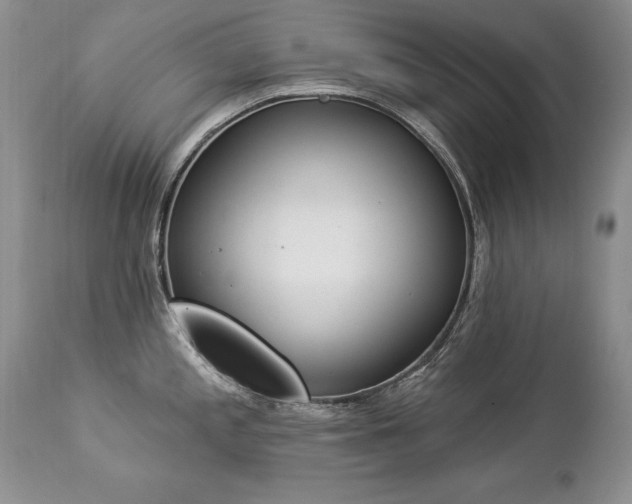 X0000112841197200908211233