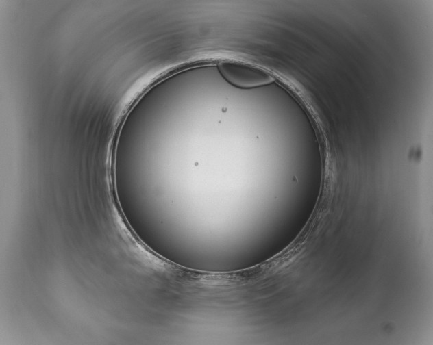 X0000112841199200908211233