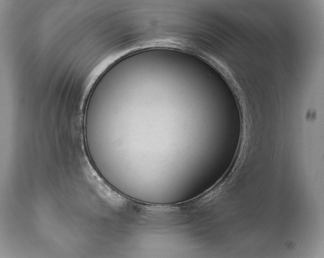 X0000112841200200908211233