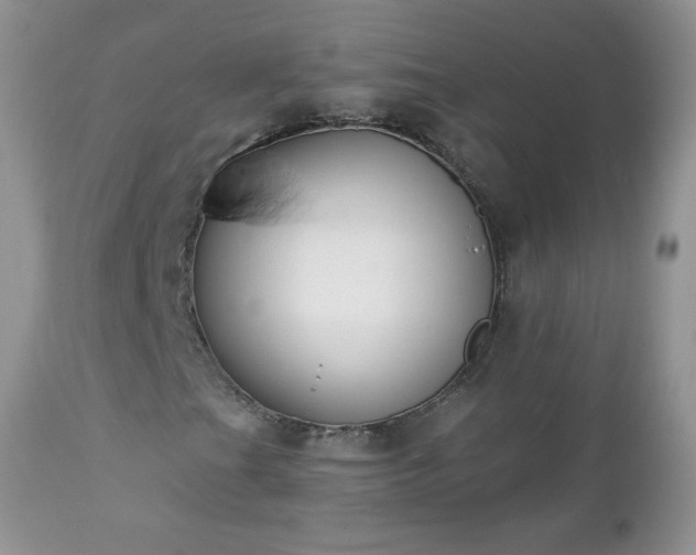 X0000112841201200908211233