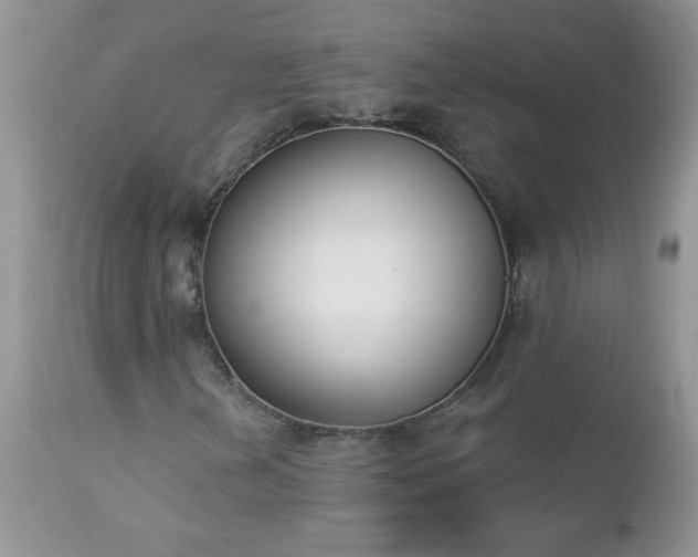 X0000112841202200908211233