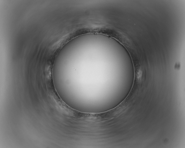 X0000112841204200908211233