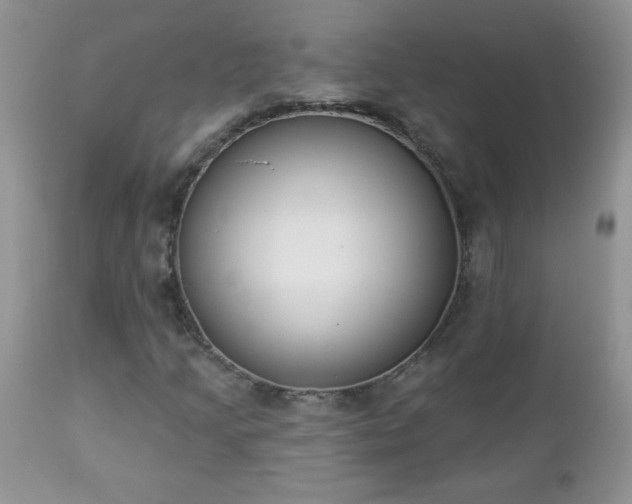 X0000112841205200908211233