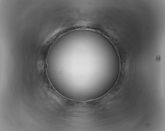 X0000112841206200908211233