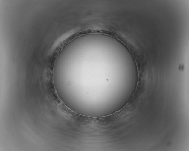 X0000112841207200908211233