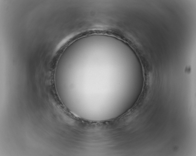 X0000112841208200908211233