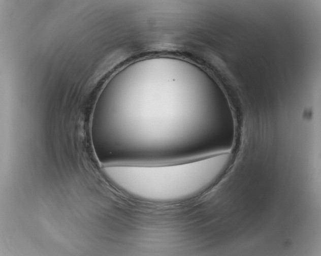 X0000112841209200908211233